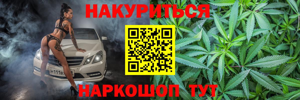 Конопля план  Бошки марихуана план  Бошки Шишки Ganja  Новодвинск  Вход с VPN 
